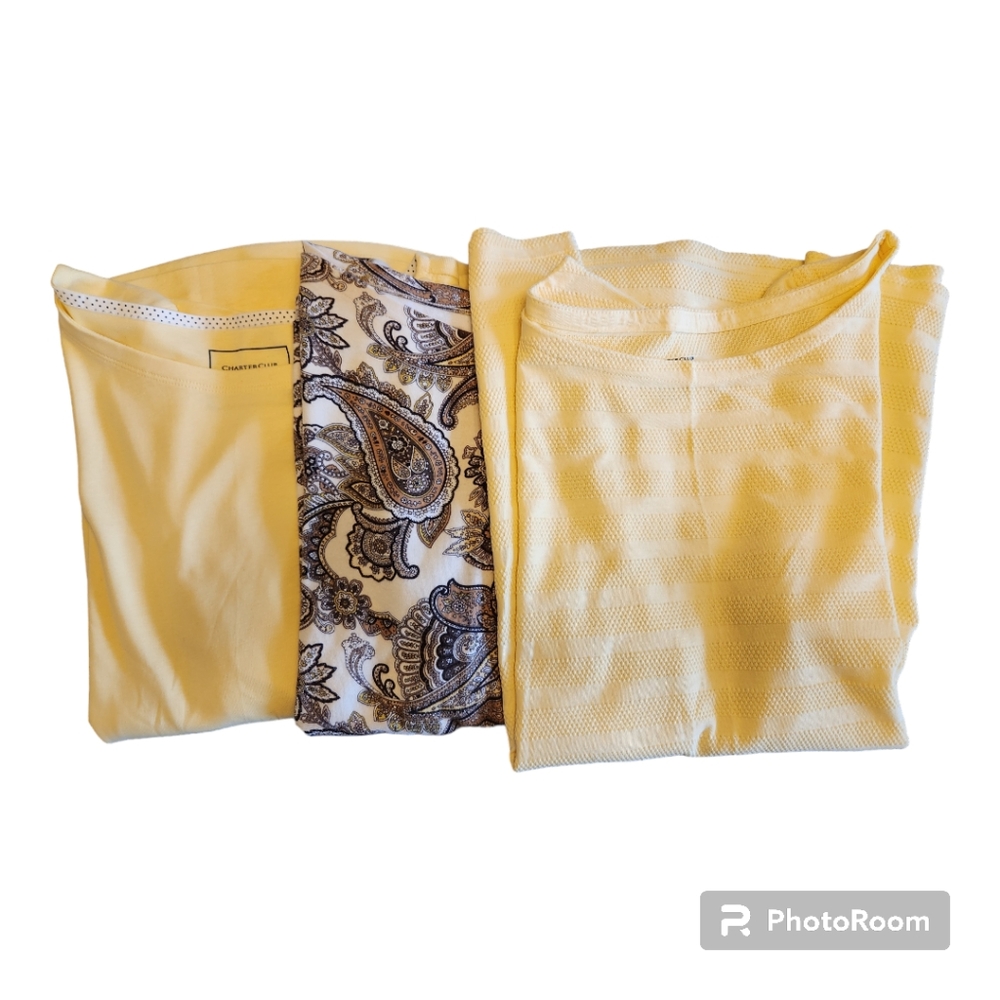 Set of 3 EUC Charter Club T Shirts L & XL